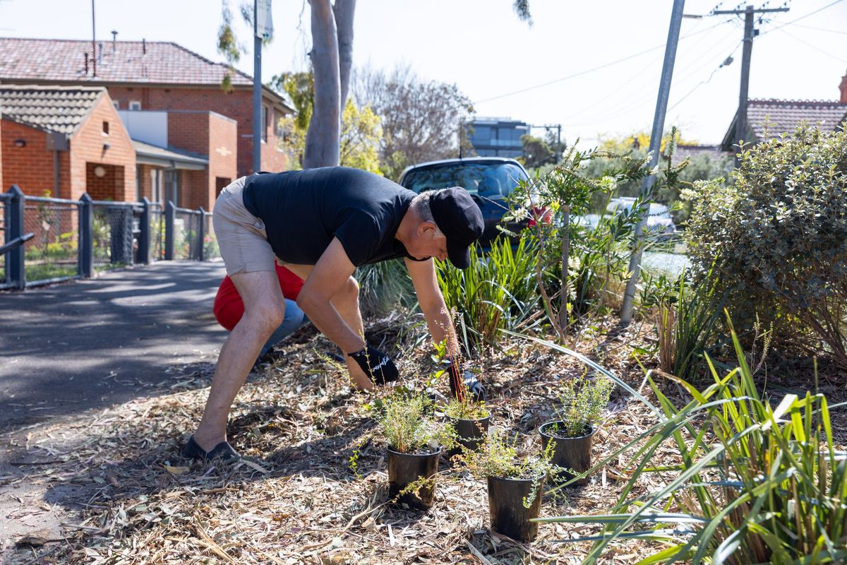 Community Planting Day - St Kilda West