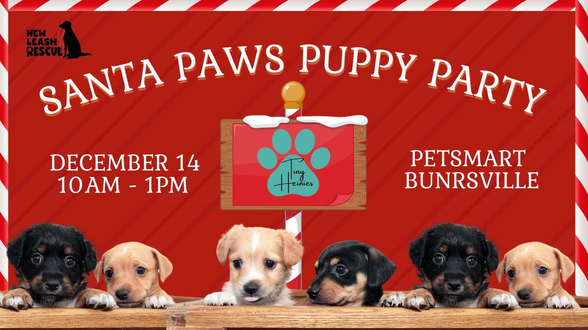 Santa Paws Puppy Party