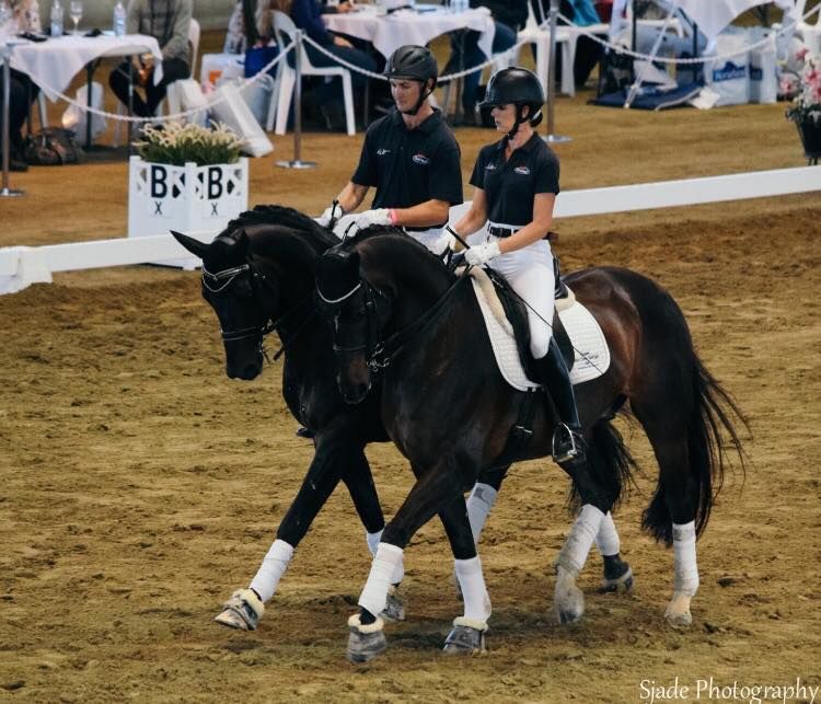 NDHD Pas De Duex Dressage Spectacular 