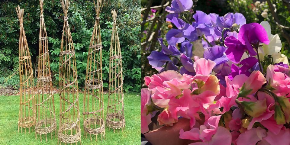 Willow Obelisk Weaving Workshop