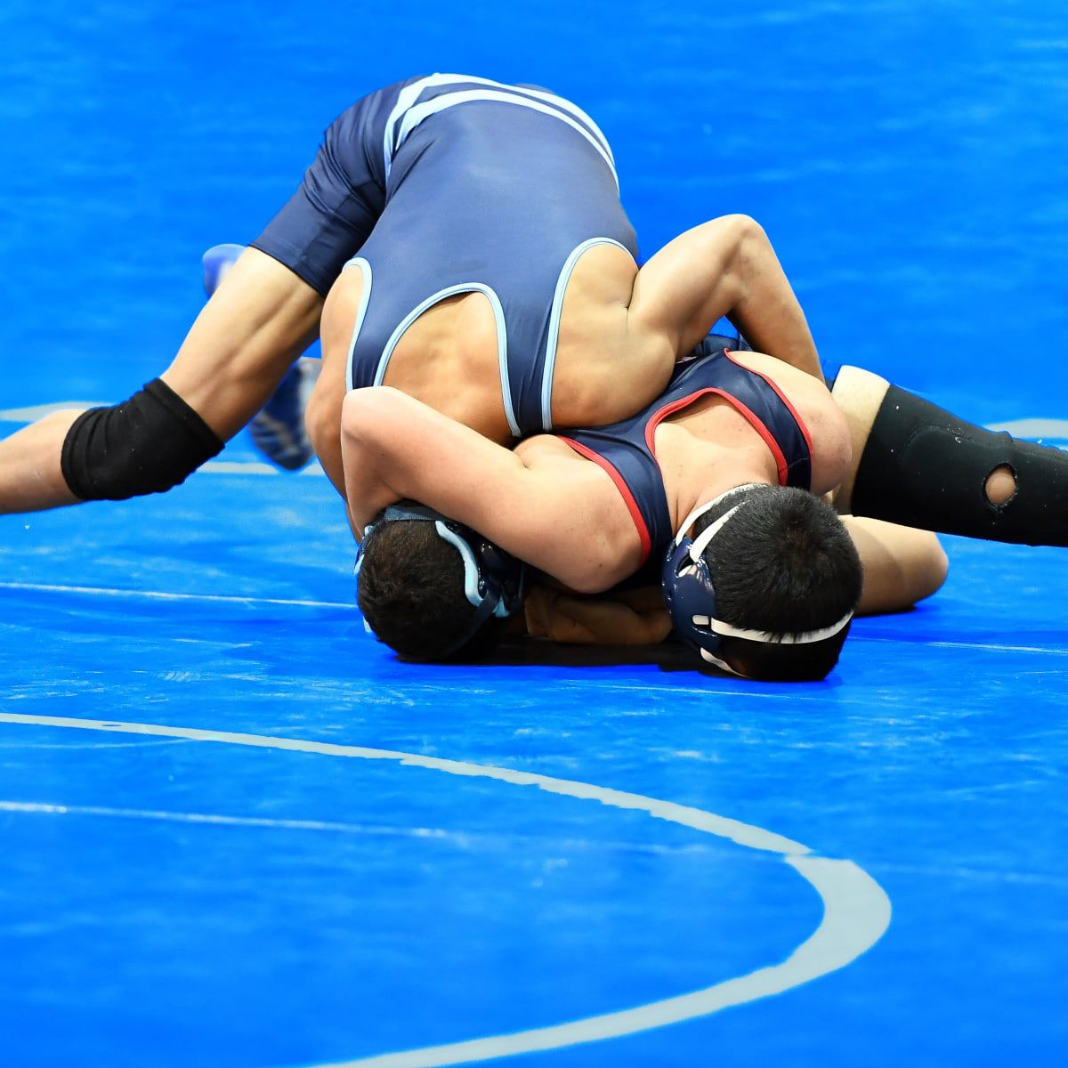 American University Eagles at Lehigh Mountain Hawks Wrestling at Leeman Turner Arena at Grace Hall