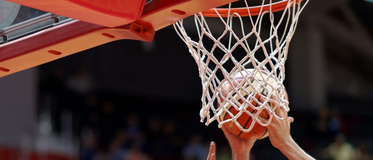 Elon Phoenix at Stony Brook Seawolves Mens Basketball