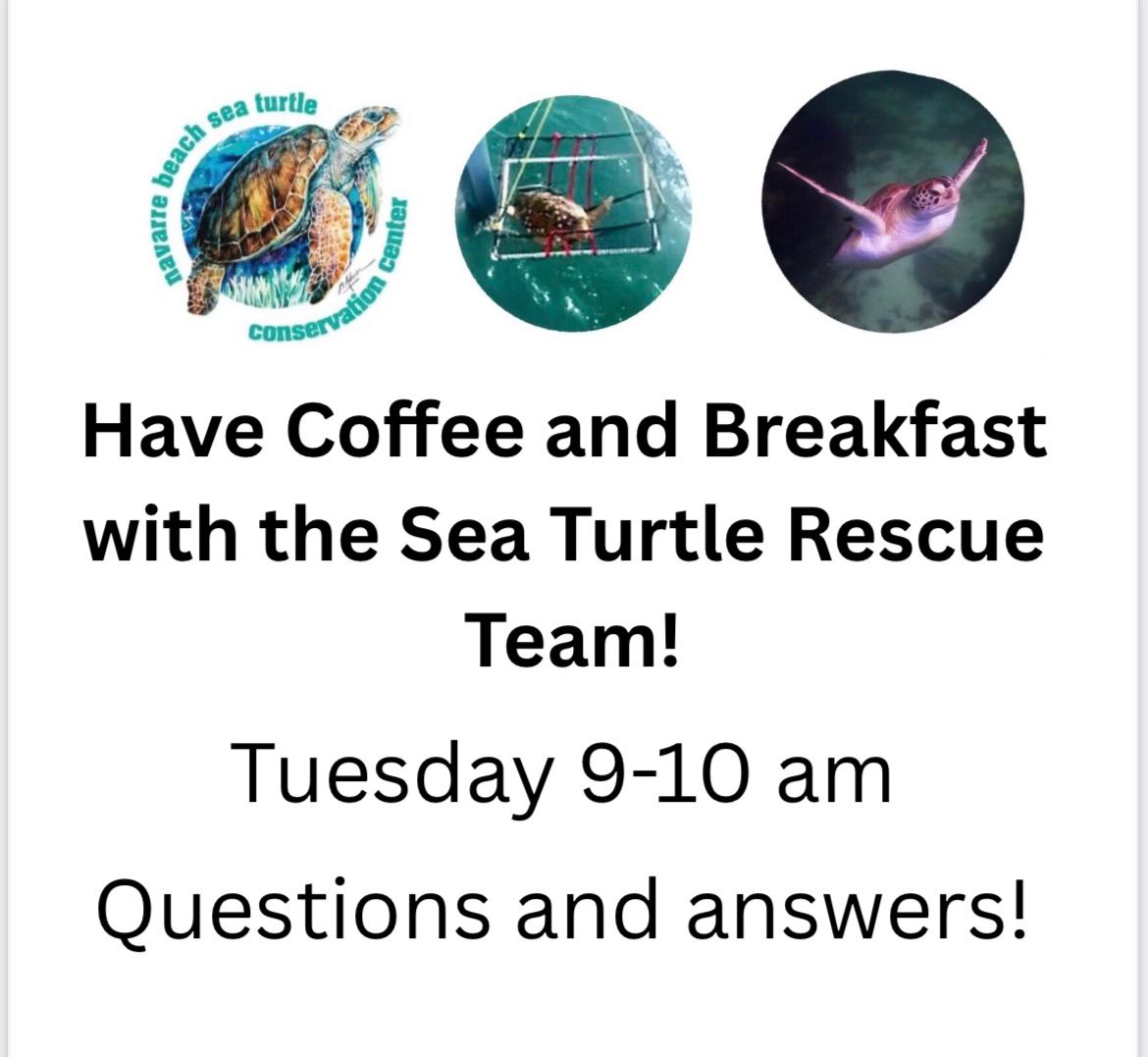 Turtle Tuesday with Sea Turtle Rescue Team