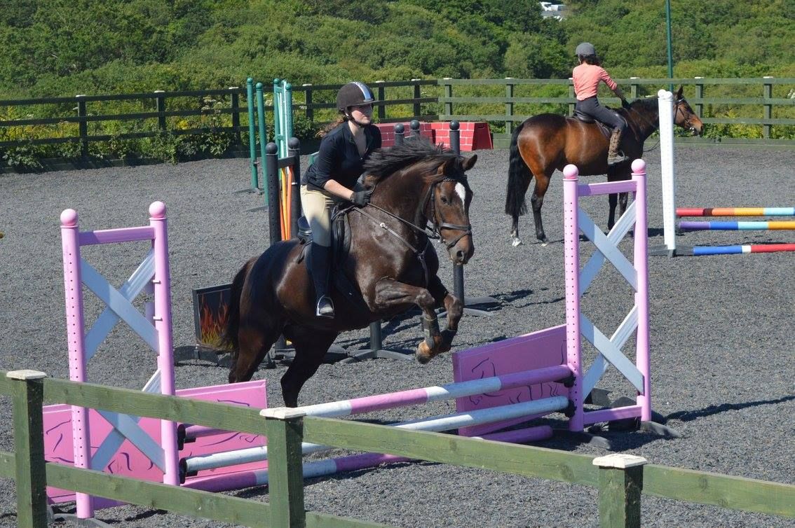 Pole & Gridwork Show Jumping Training with Becky Kennen