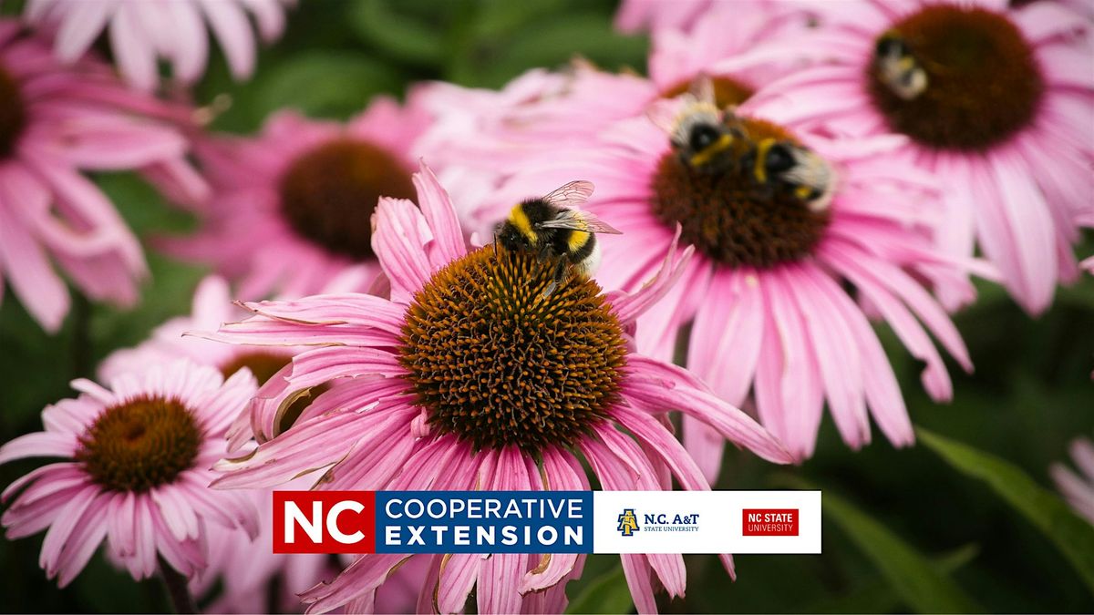 Chatham Mills "Pollinator Paradise" Tour