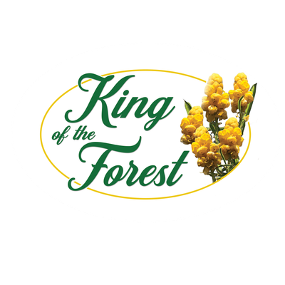 King of the Forest