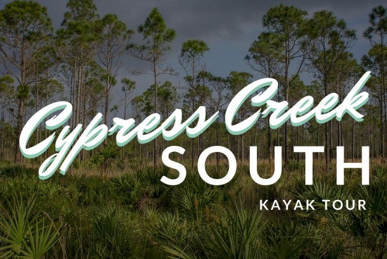 Sunset Kayak Tour: Cypress Creek South