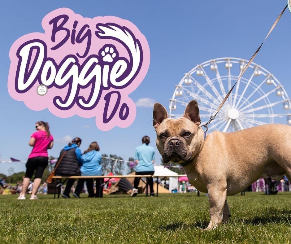Husky Tails @ Milton Keynes Big Doggy Do, Fun dog show