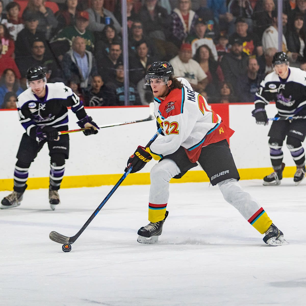 New Mexico Ice Wolves at Amarillo Wranglers