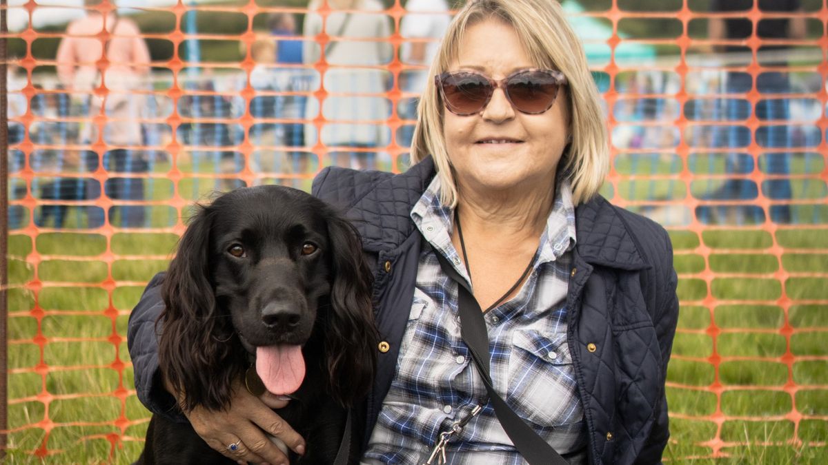 Country Dog Show (Dorset)