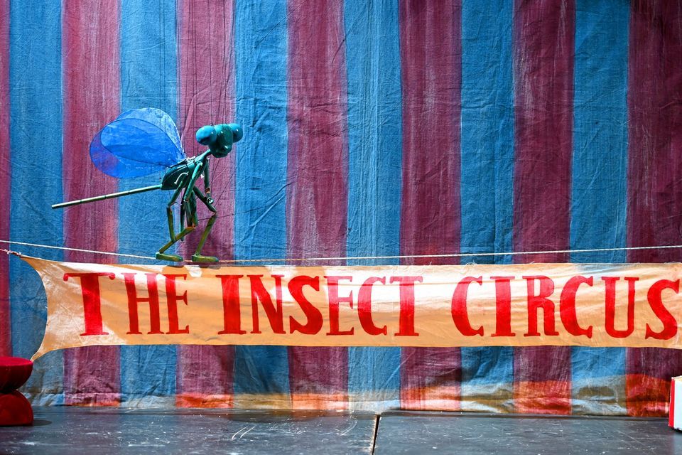 The Insect Circus, Puppet Theatre Barge, London, 10 March 2024