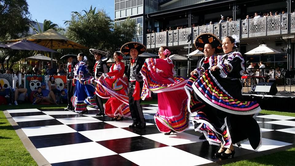 Performance at Perth Royal Show