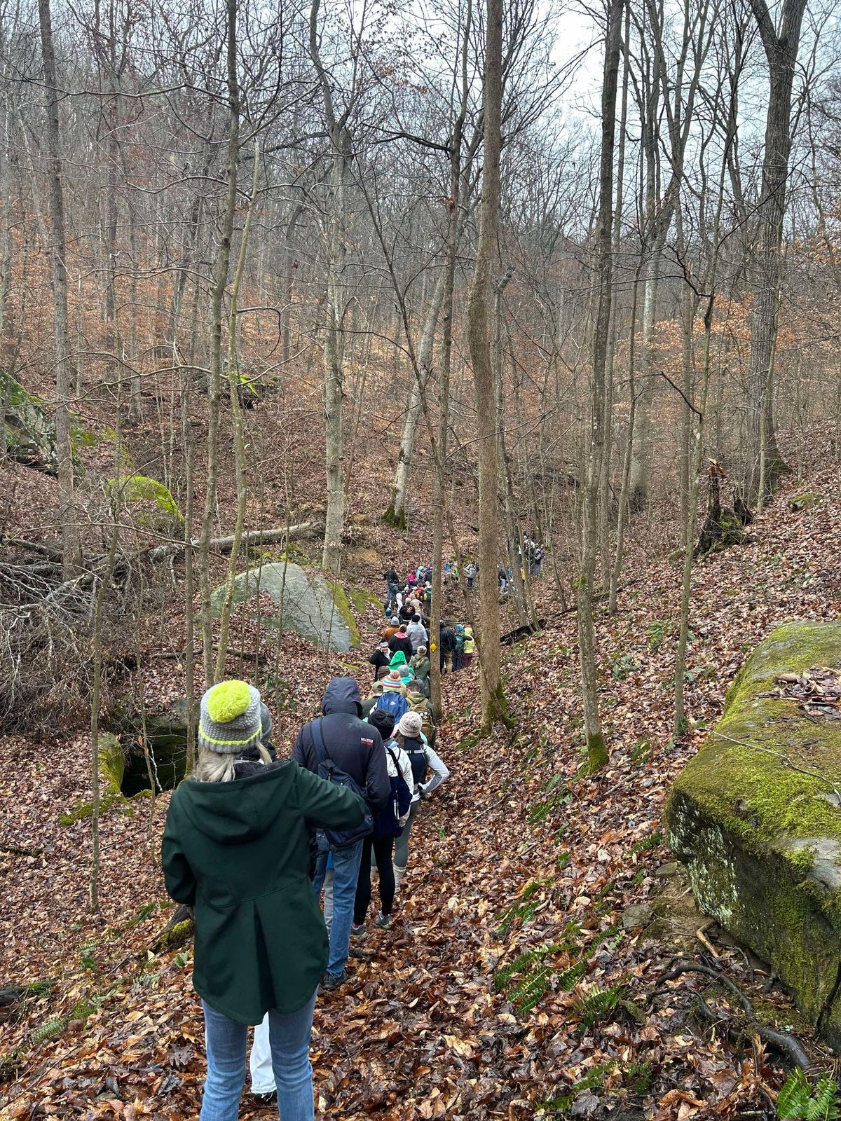 Winter Hike With A Naturalist!