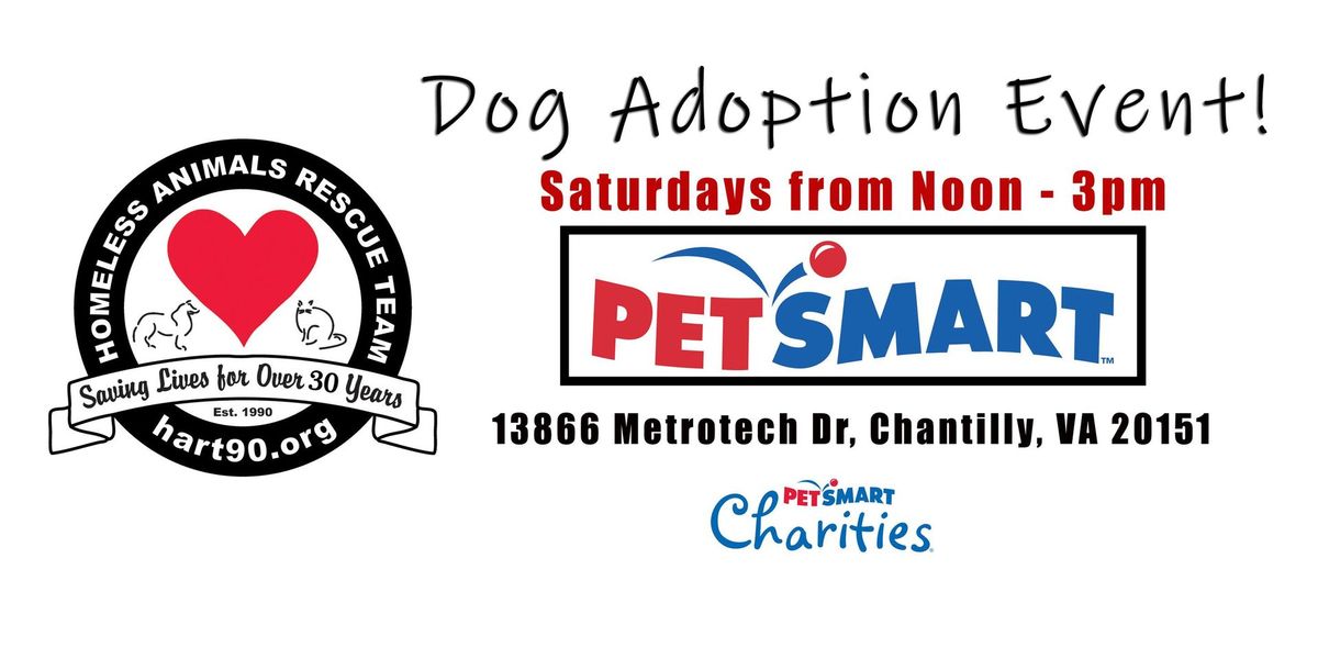 Dog Adoption Event! 