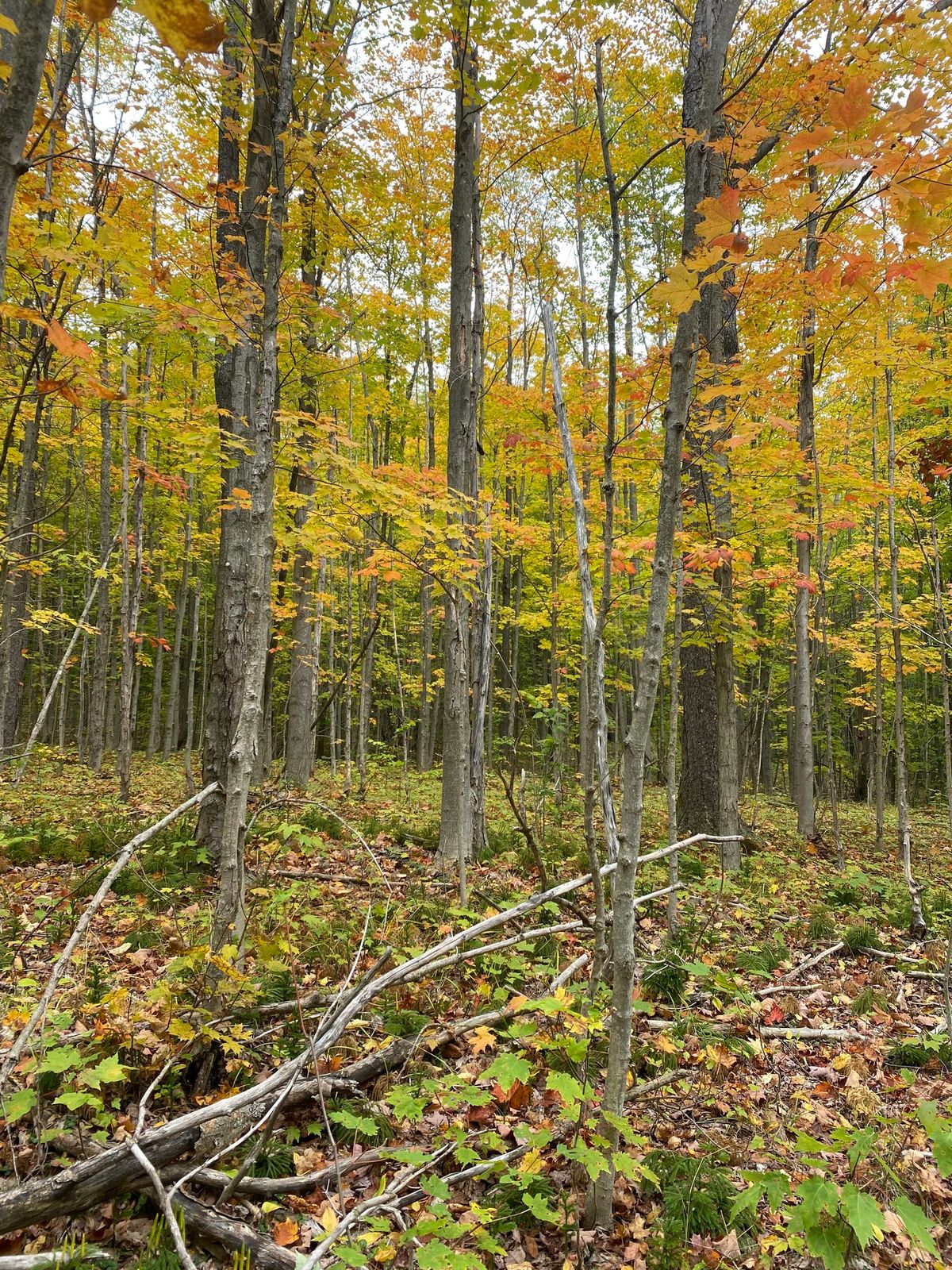 Fall Yoga & Hiking