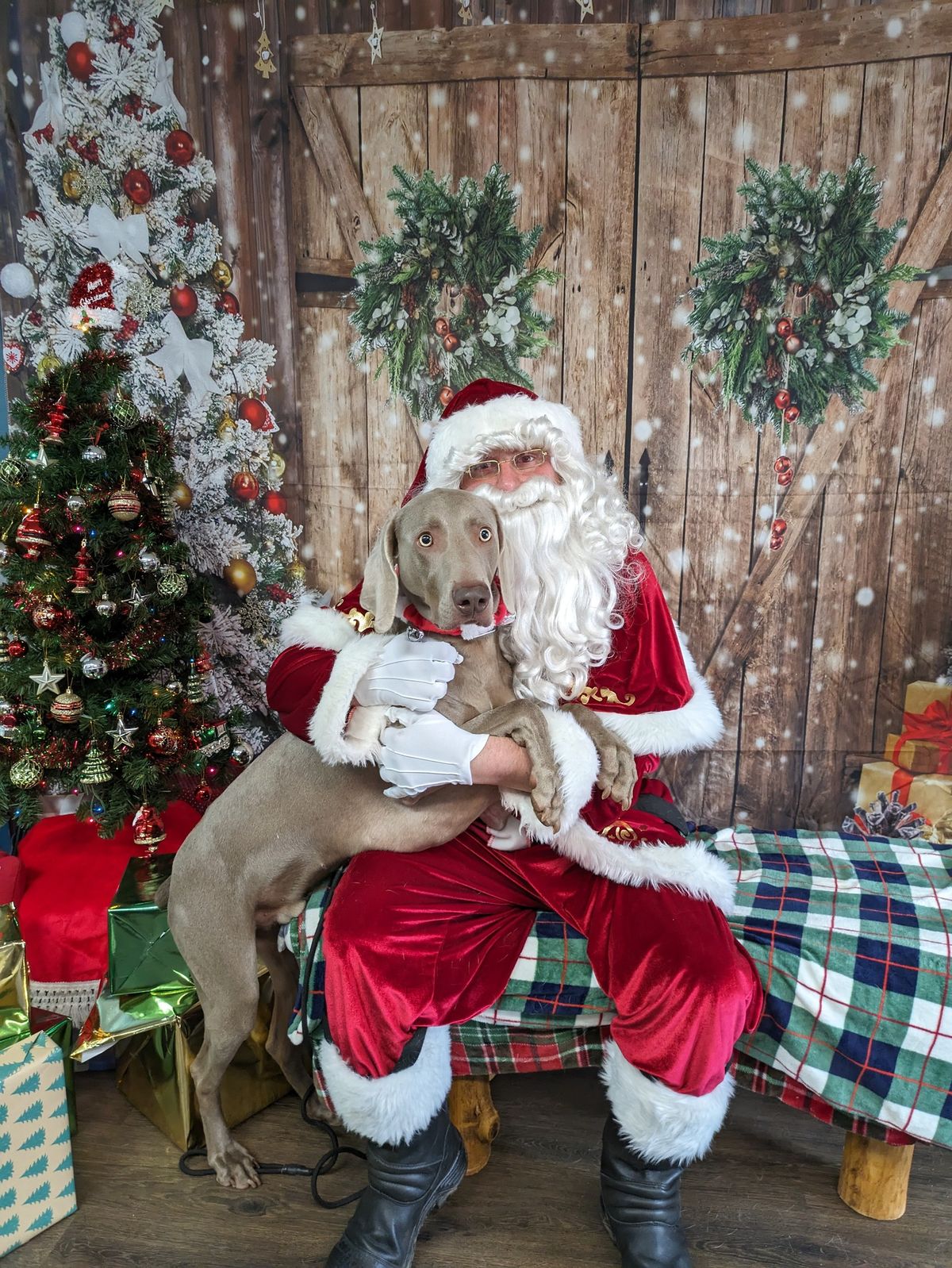 Photos with Santa Paws 2024