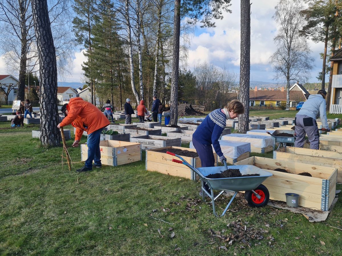 Oppstart i Pallesjarmen Bydelshage