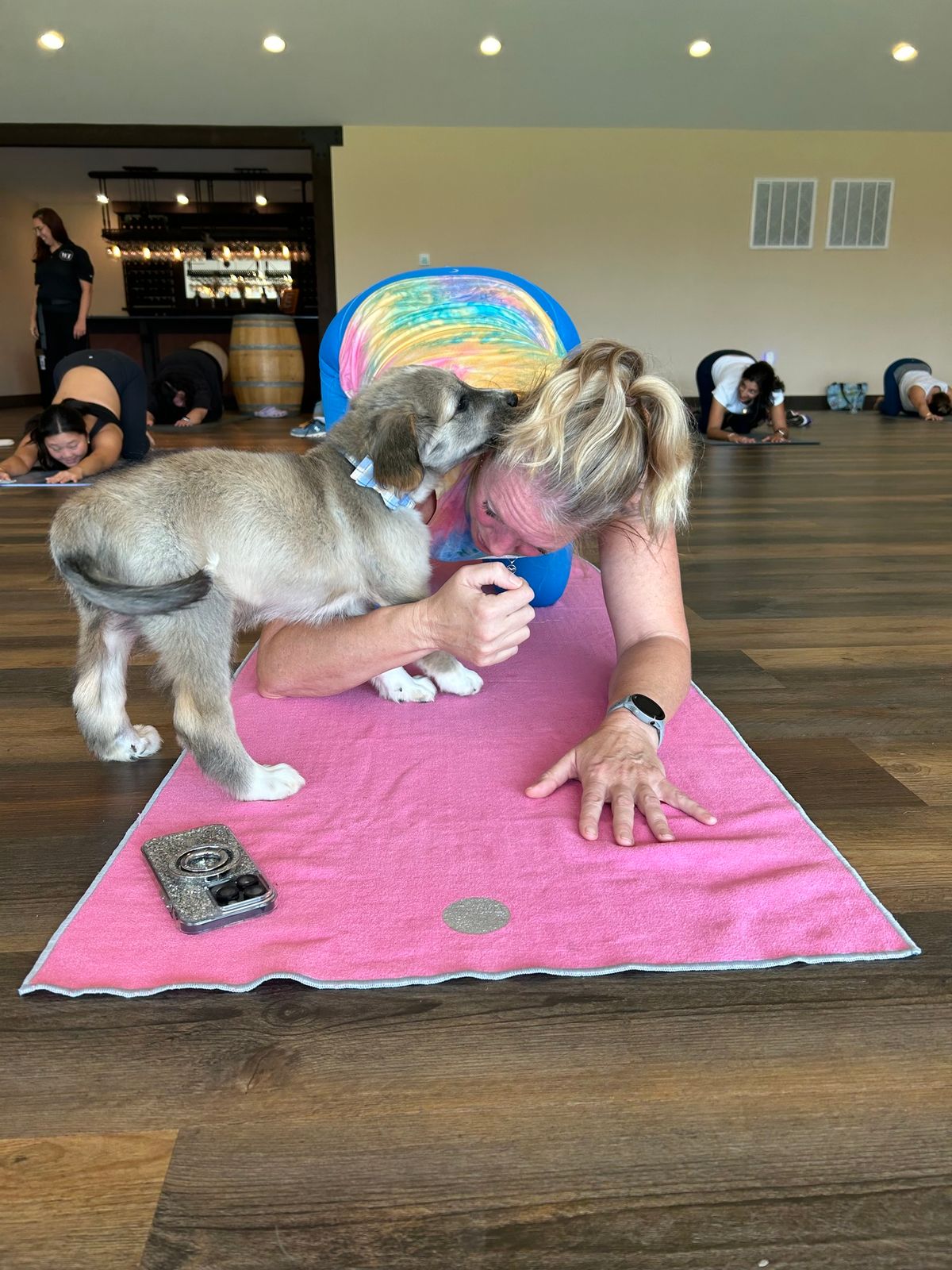 Doggy Noses & Yoga Poses at Jersey Girl Brewing!