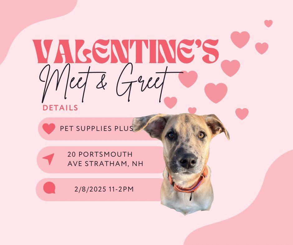 Be Our Valentine Meet and Greet at Pet Supplies Plus!