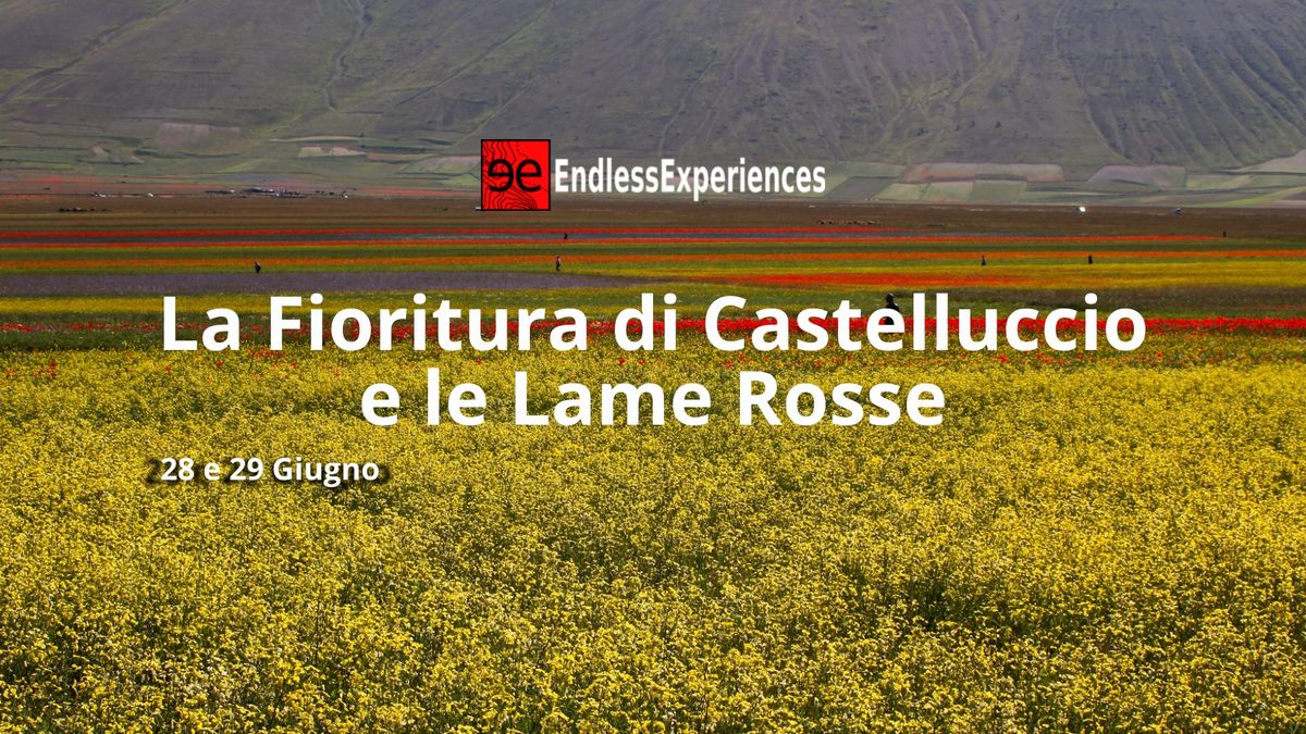 La Fioritura di Castelluccio e le Lame Rosse. Lo spettacolo dei Sibillini