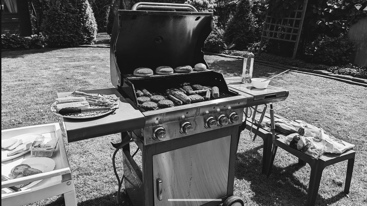 Veganes (Mitbring-) Grillen im Grugapark (Essen)