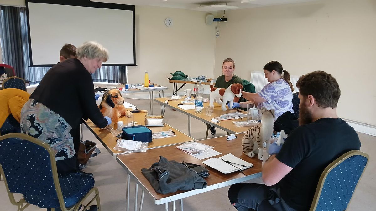 Pet First Aid Level 2 (VTQ) Course