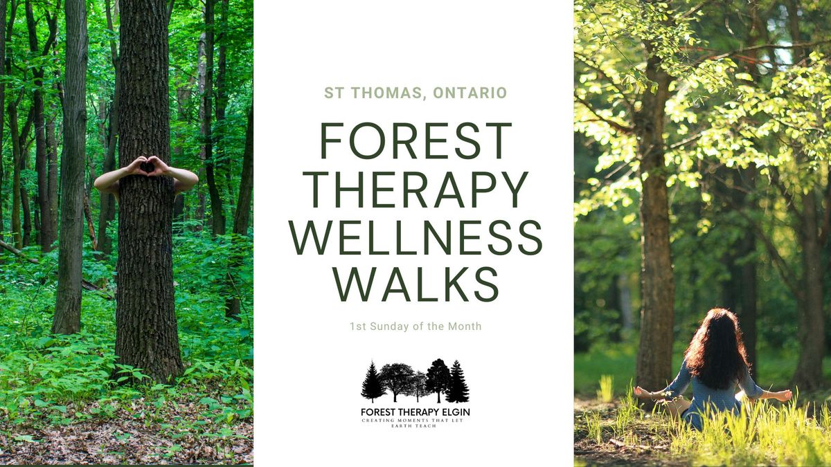 2024 Community Wellness Walks - Guided Forest Therapy Sessions in St Thomas 2024