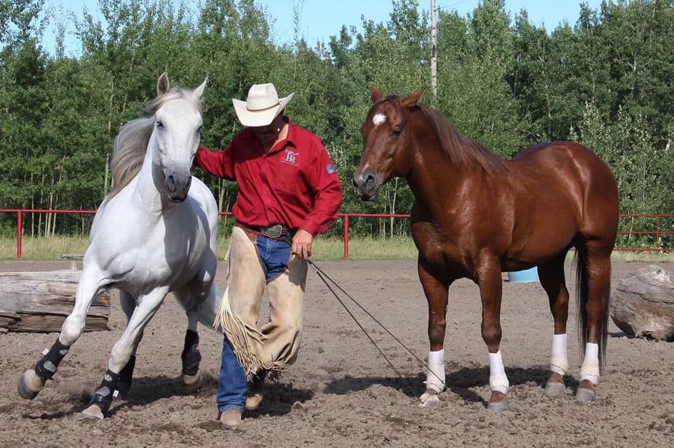 Glenn Stewart Horsemanship Clinic in Smithers, hosted by NSC