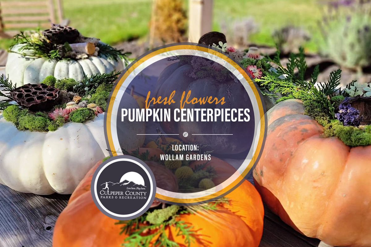 Pumpkin Centerpieces with Wollam Gardens 