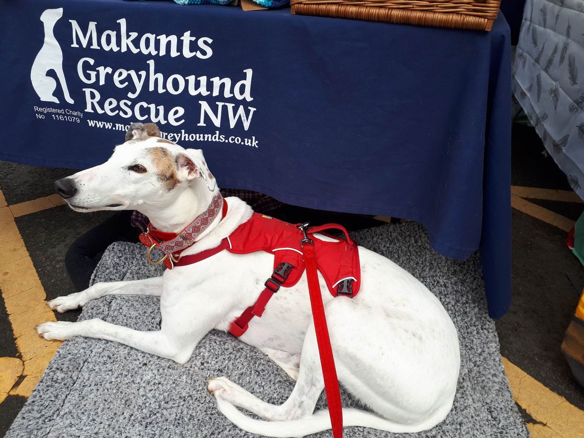 Fundraising stall at Chorley Makers market