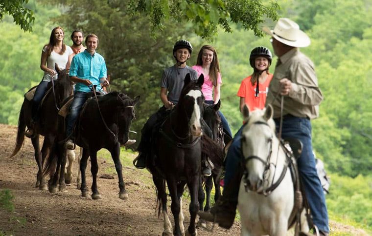 Horseback Trail Ride in the Smokies - Gatlinburg, TN Area