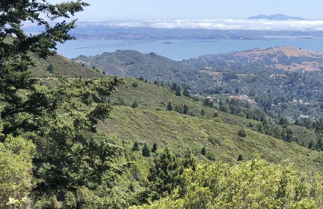 Hiking Horns: Mount Tamalpais State Park