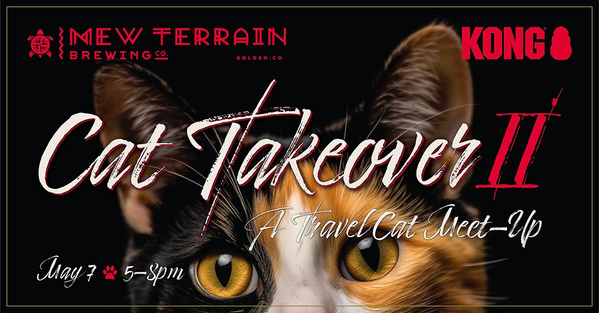 Cat Takeover II - Another Travel Cat Meet-up!