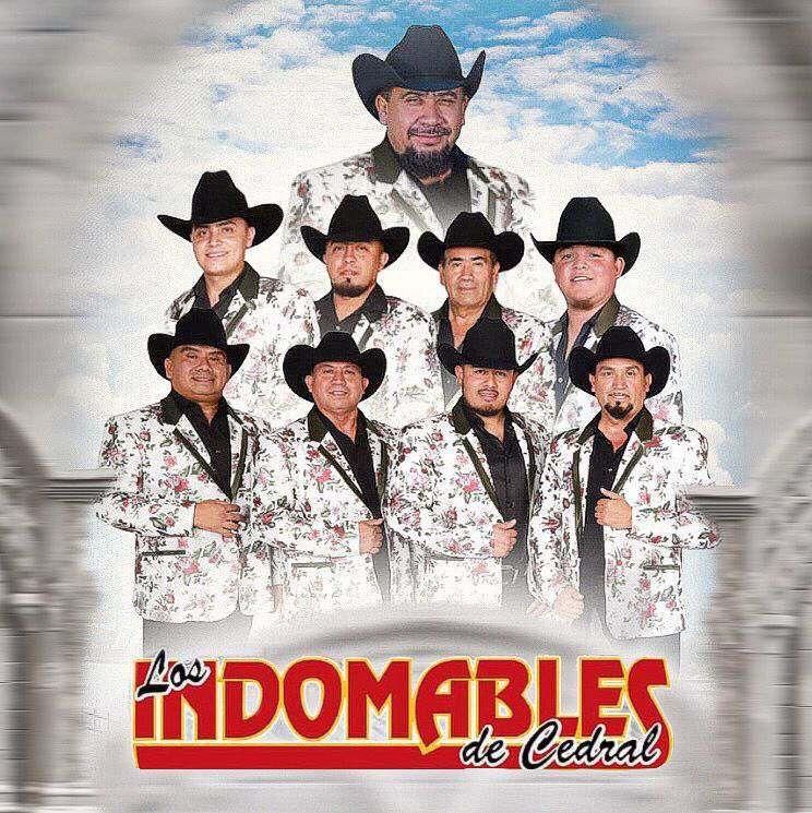 LOS INDOMABLES 