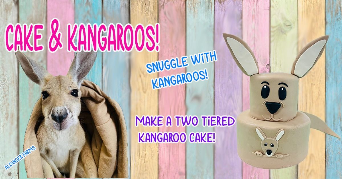 Cake n' SNUGGLE Kangaroos! 