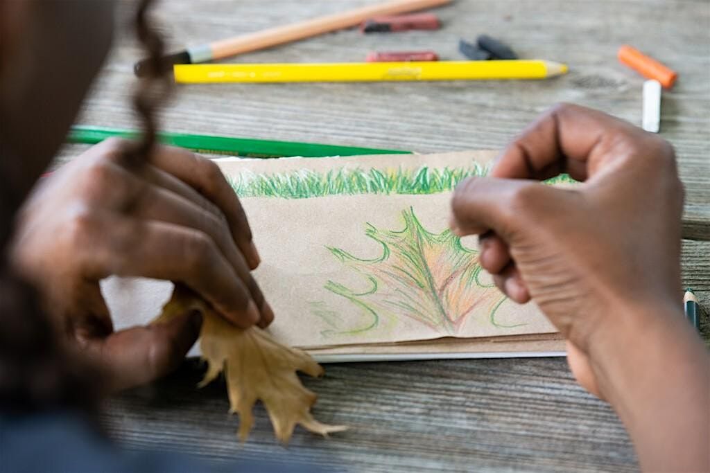 Nature Journaling