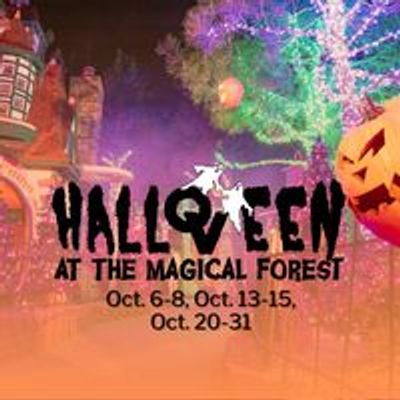 Magical Forest at Opportunity Village