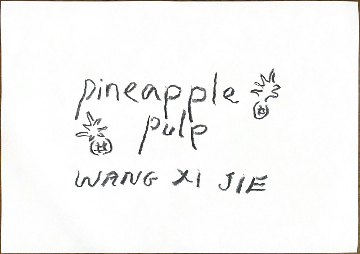 Pineapple Pulp \u2013 Paper-making As Material Archive with Wang Xi Jie