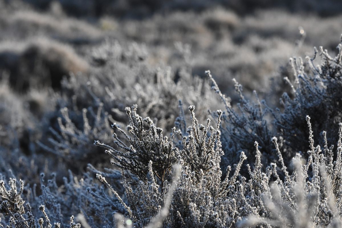 Durch die Wahner Heide im Winter [KEV]