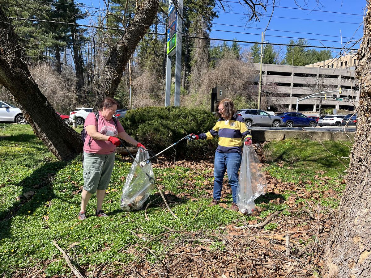 Litter to Action : Burnt Mills