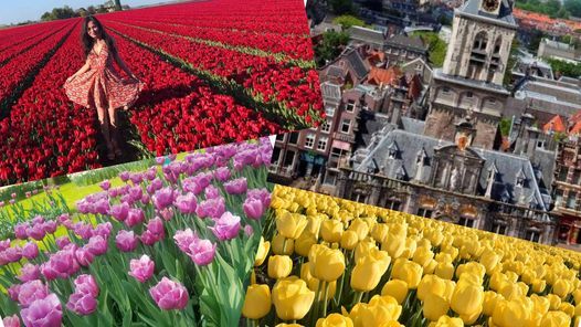 Tulip Tour - Keukenhof, Tulip Fields & Delft (Small Group 8 pax. max. \u20ac115 pp)
