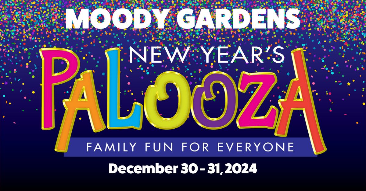 New Year's Palooza