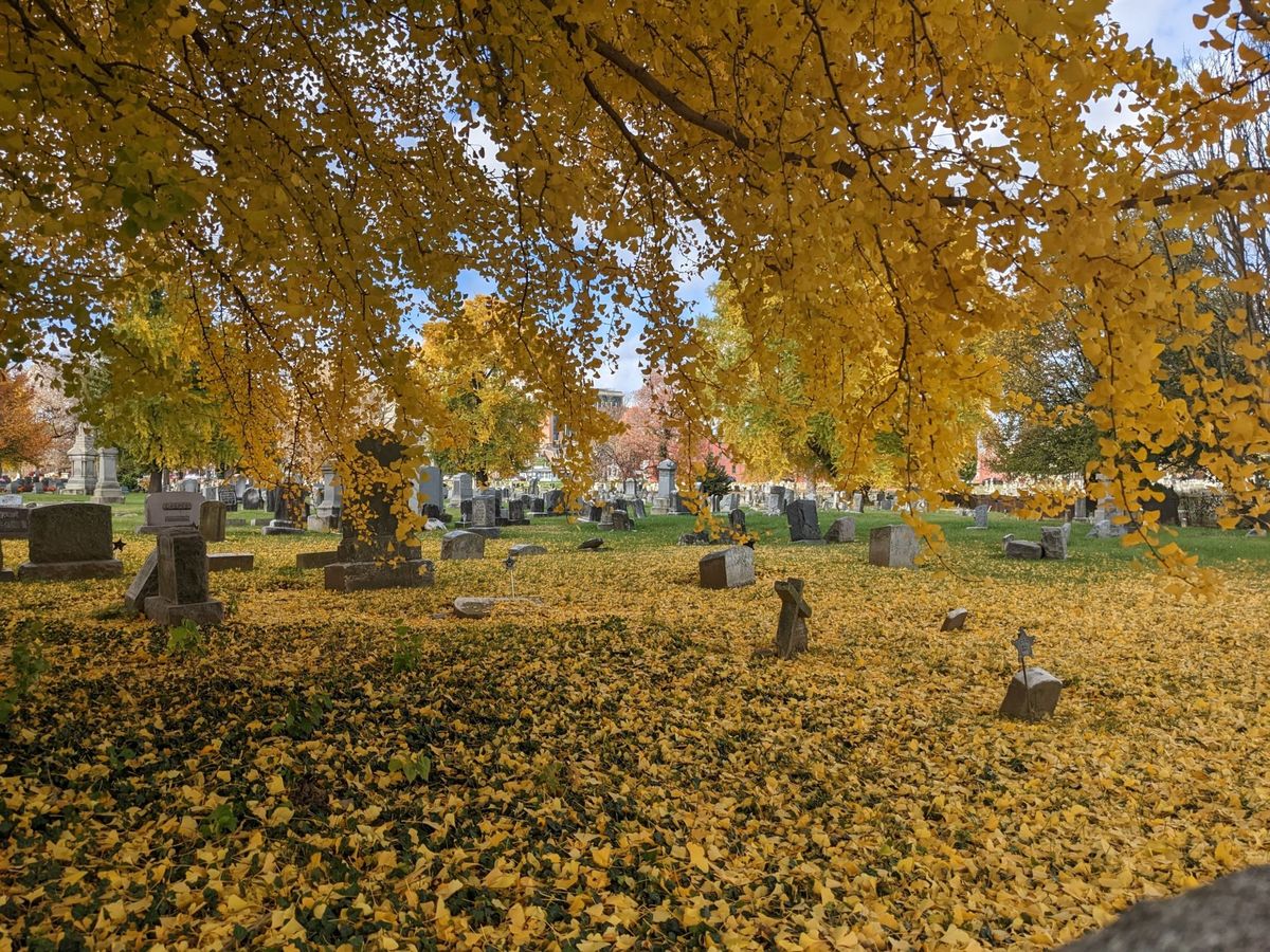 Lancaster Cemetery Beautification & Cleanup