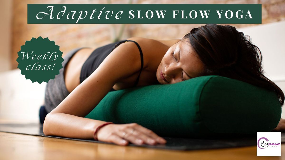 Adaptive Slow Flow