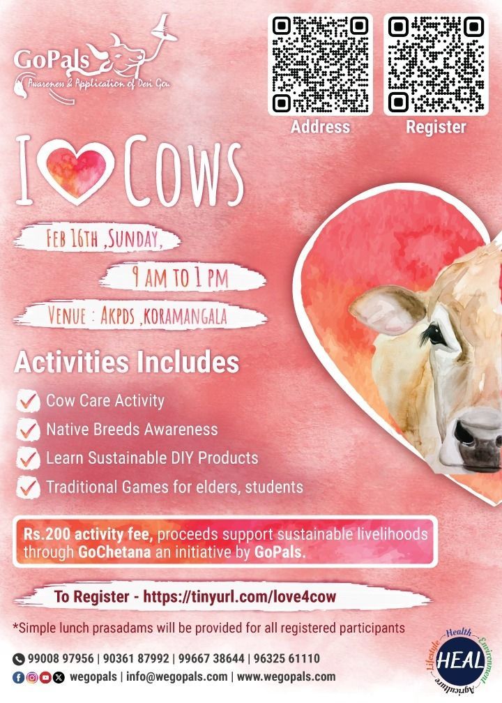 I love Cows