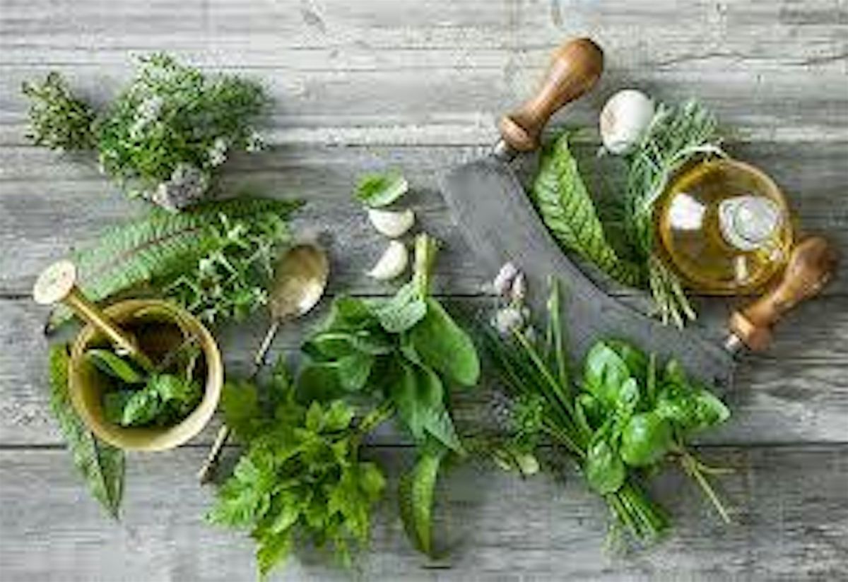 Basic Herbal Education Class - Staying Well Through the Holidays