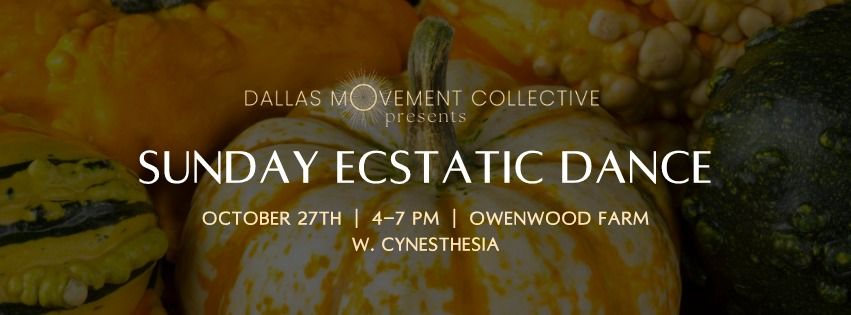 Ecstatic Dance | Sunday Afternoon w. Cynesthesia