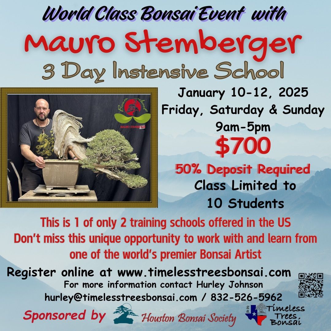 Mauro Stemberger's Bonsai Training