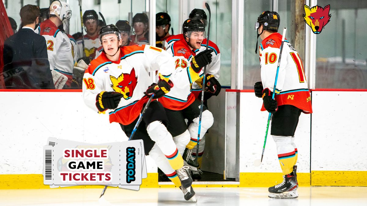 New Mexico Ice Wolves at Odessa Jackalopes