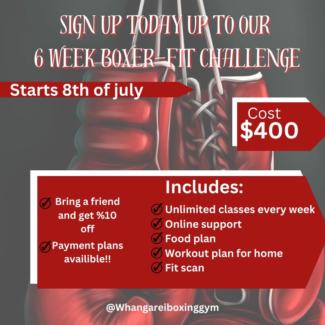 Boxer-Fit 6 week Challenge